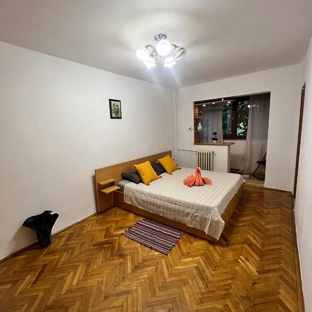 Miha Modern And Central Apartament Malul Muresului أراد المظهر الخارجي الصورة