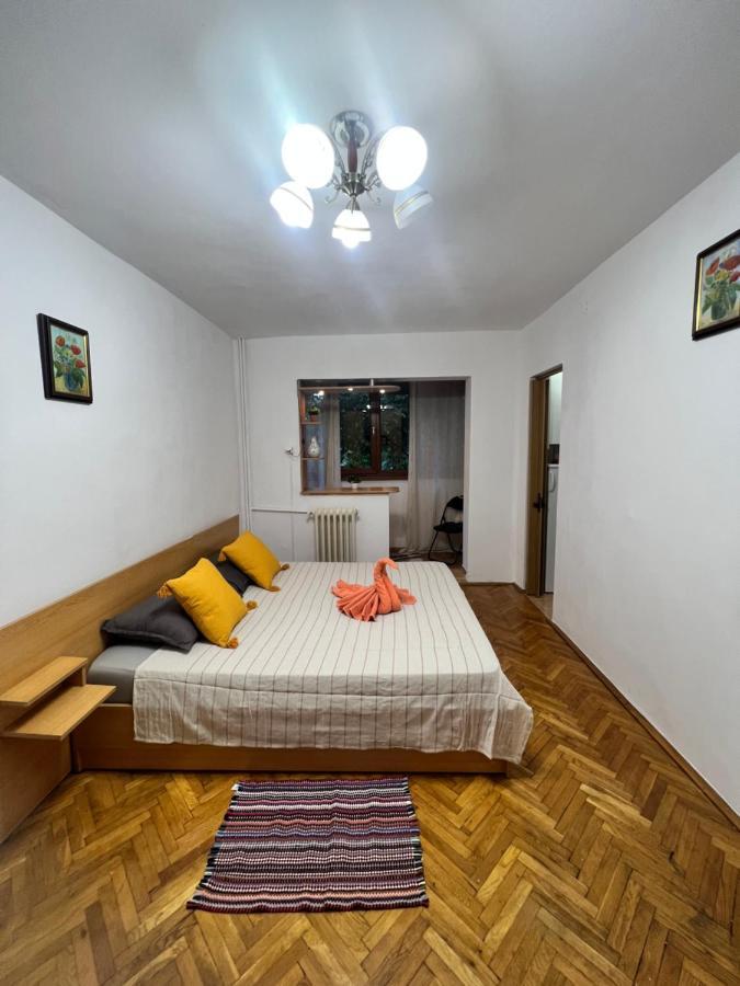 Miha Modern And Central Apartament Malul Muresului أراد المظهر الخارجي الصورة