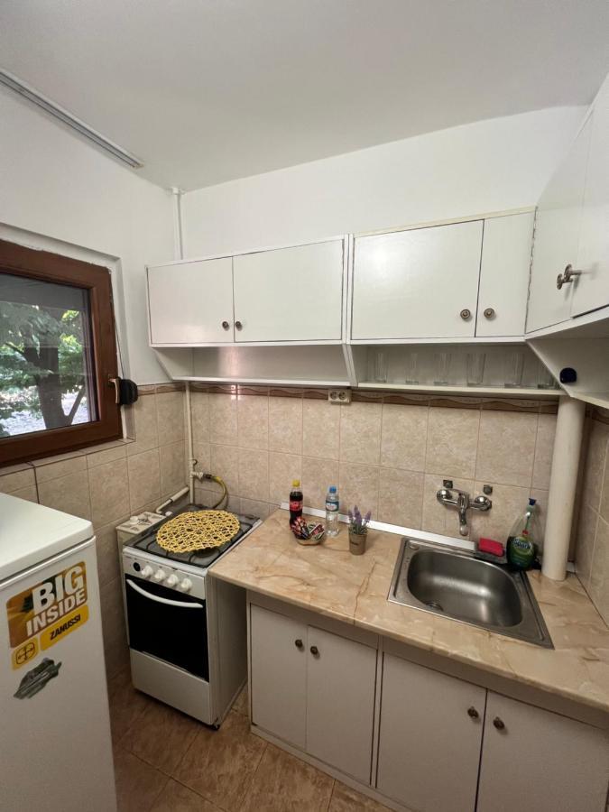 Miha Modern And Central Apartament Malul Muresului أراد المظهر الخارجي الصورة