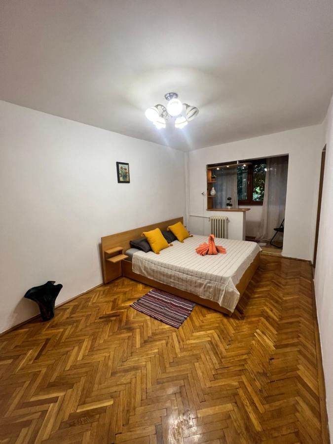 Miha Modern And Central Apartament Malul Muresului أراد المظهر الخارجي الصورة