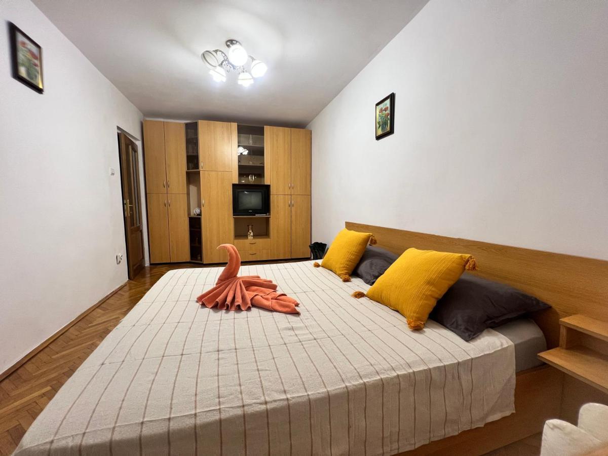 Miha Modern And Central Apartament Malul Muresului أراد المظهر الخارجي الصورة