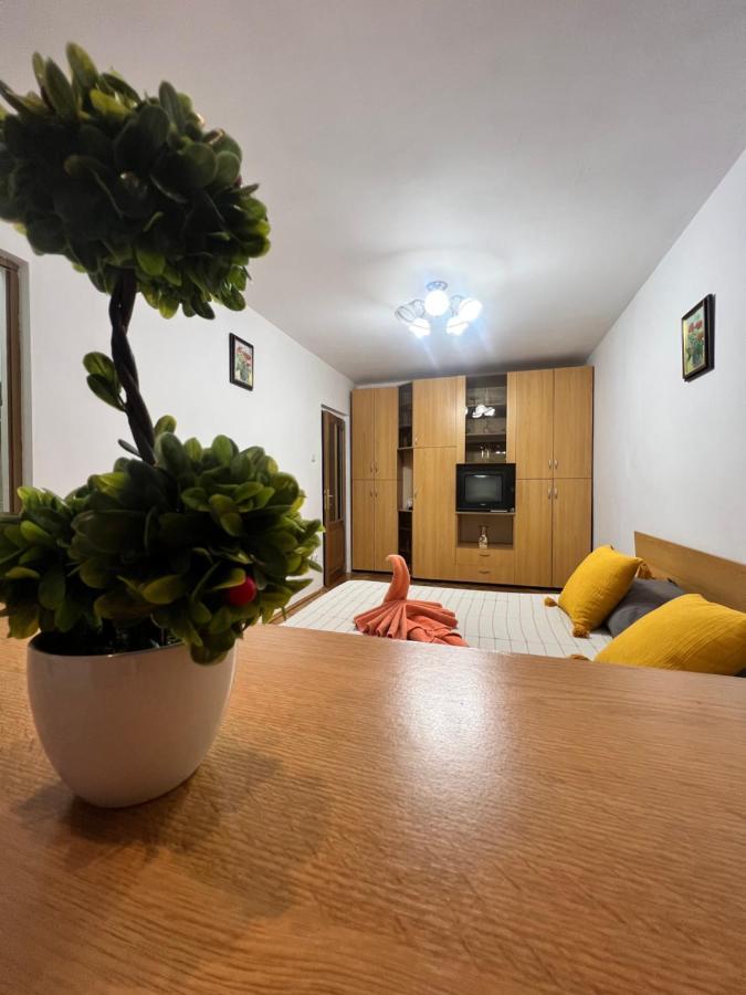 Miha Modern And Central Apartament Malul Muresului أراد المظهر الخارجي الصورة