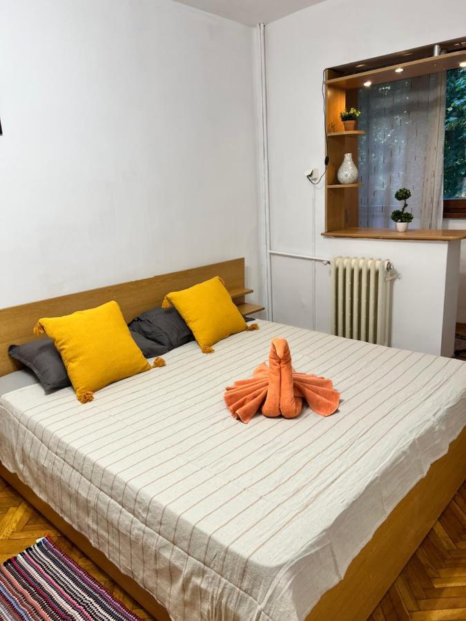 Miha Modern And Central Apartament Malul Muresului أراد المظهر الخارجي الصورة