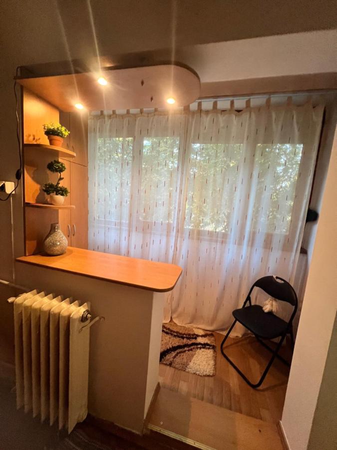 Miha Modern And Central Apartament Malul Muresului أراد المظهر الخارجي الصورة