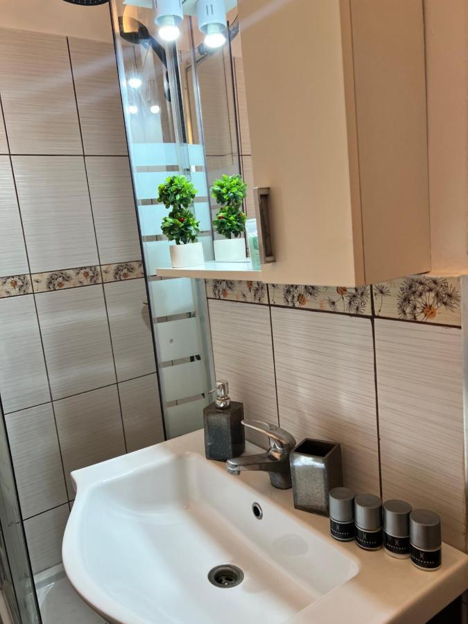 Miha Modern And Central Apartament Malul Muresului أراد المظهر الخارجي الصورة