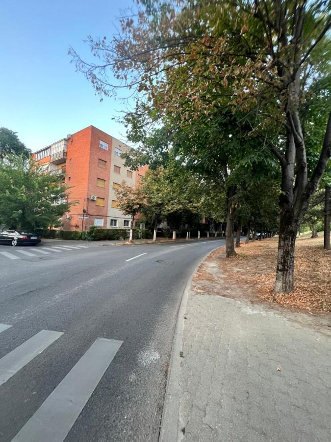 Miha Modern And Central Apartament Malul Muresului أراد المظهر الخارجي الصورة