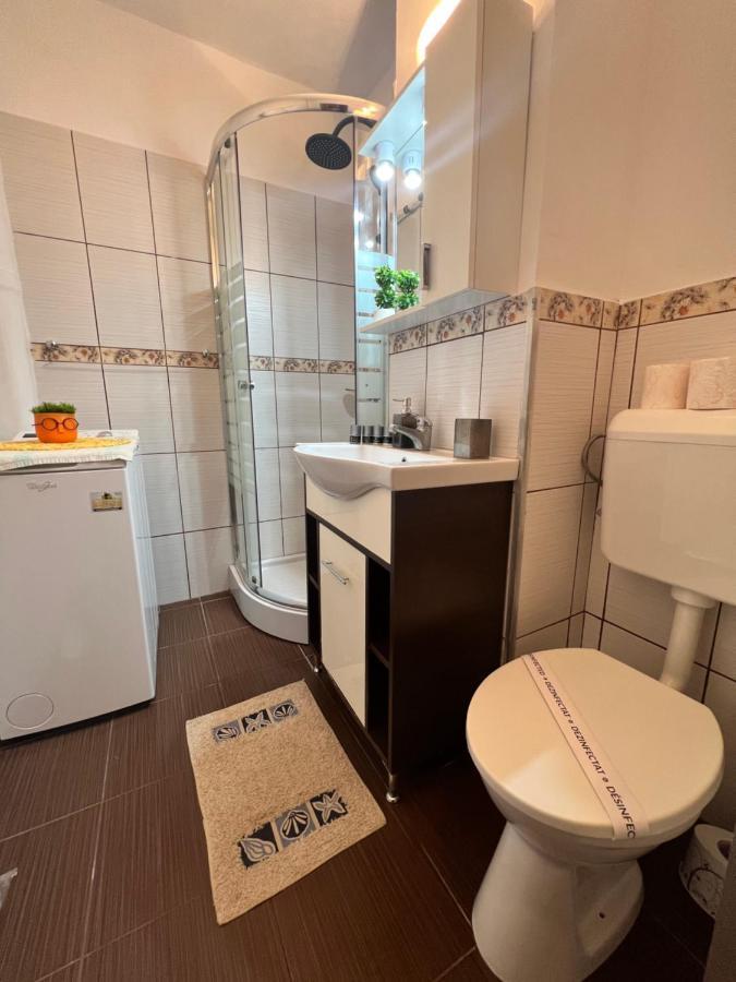 Miha Modern And Central Apartament Malul Muresului أراد المظهر الخارجي الصورة