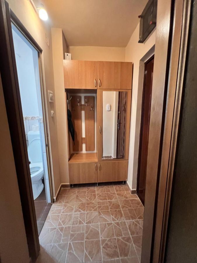 Miha Modern And Central Apartament Malul Muresului أراد المظهر الخارجي الصورة
